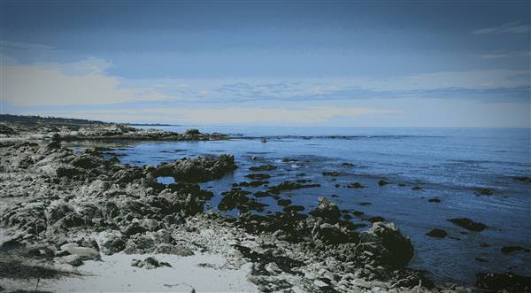 Asilomar State Beach and Conference Grounds (3/10/2016 - Credits: Photo courtesy of California State Parks)