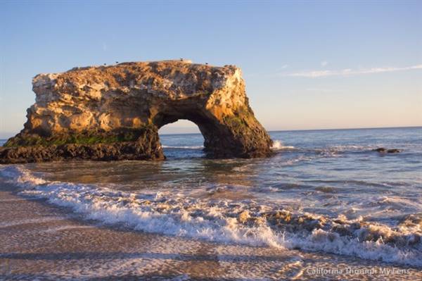 Natural Bridges State Beach (SB) - Photo courtesy of Josh McNair, http://californiathroughmylens.com/ (3/24/2016 - Credits: Photo courtesy of Josh McNair, photo courtesy of Josh McNair, Photo courtesy of Josh McNair, Photo courtesy of Josh McNair, Photo courtesy of Josh McNair, http://californiathroughmylens.com/)