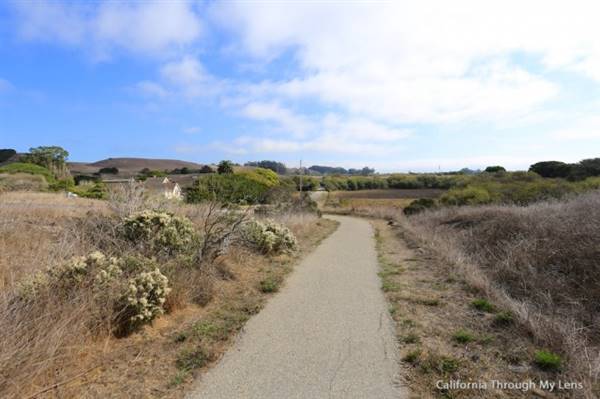 Wilder Ranch State Park (SP) / Four Mile Beach & Three Mile Beach - Photo courtesy of Josh McNair, californiathroughmylens.com (3/24/2016 - Credits: Photo courtesy of Josh McNair, californiathroughmylens.com)