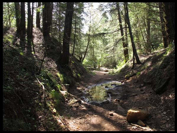 Trione-Annadel State Park (SP) - Photo courtesy of Tim Sartoris (4/7/2016 - Credits: Photo courtesy of Tim Sartoris)