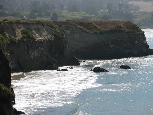 Año  Nuevo State Park (SP) - Photo courtesy of Tim Sartoris (4/7/2016 - Credits: Photo courtesy of Tim Sartoris)