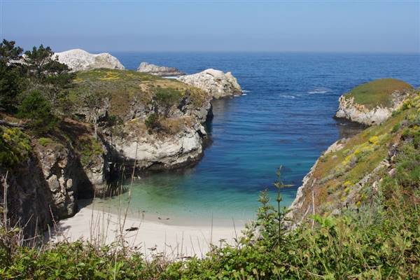 Point Lobos State Natural Reserve (SNR) - Photos by Callie Bowdish - http://www.calliebowdish.com/slideshow/PointLobos/index.html (4/7/2016 - Credits: Photos by Callie Bowdish - http://www.calliebowdish.com/slideshow/PointLobos/index.html)