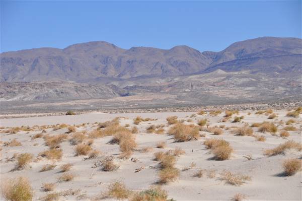 Olancha Sand Dunes - Bureau of Land Management - California Desert District - Ridgecrest Field Office - BLM - Off Highway Vehicle Area - OHV (4/12/2016 - Credits: Photo by Robin Citrin)
