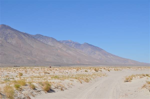 Olancha Sand Dunes - Bureau of Land Management - California Desert District - Ridgecrest Field Office - BLM - Off Highway Vehicle Area - OHV (4/12/2016 - Credits: Photo by Robin Citrin)