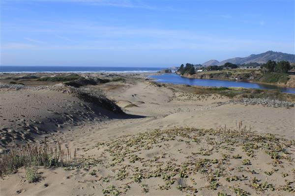 Westport-Union Landing State Beach (SB) (10/26/2011 - Credits: By Agathe B [CC BY-SA 2.0 (http://creativecommons.org/licenses/by-sa/2.0)], via Wikimedia Commons)