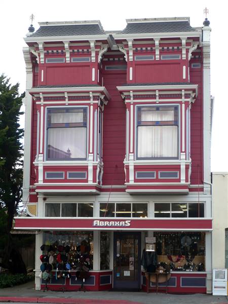 Ferndale, The Victorian Village (1/29/2013 - Credits: By Ellin Beltz (Own work) [Public domain], via Wikimedia Commons)