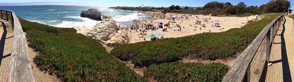 Natural Bridges State Beach (SB) (7/5/2014 - Credits: By Runner1928 (Own work) [CC BY-SA 3.0 (http://creativecommons.org/licenses/by-sa/3.0)], via Wikimedia Commons)