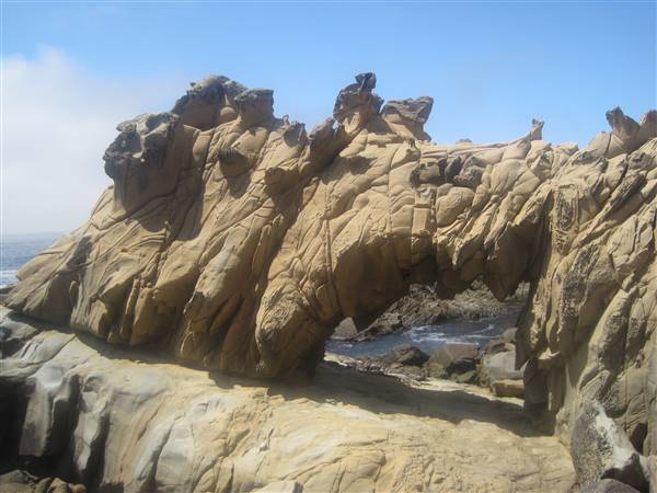 Salt Point State Park (SP) (7/23/2010 - Credits: By Robert Toren / Angrylambie (Sandstone_california_coast.jpg) [FAL], via Wikimedia Commons)