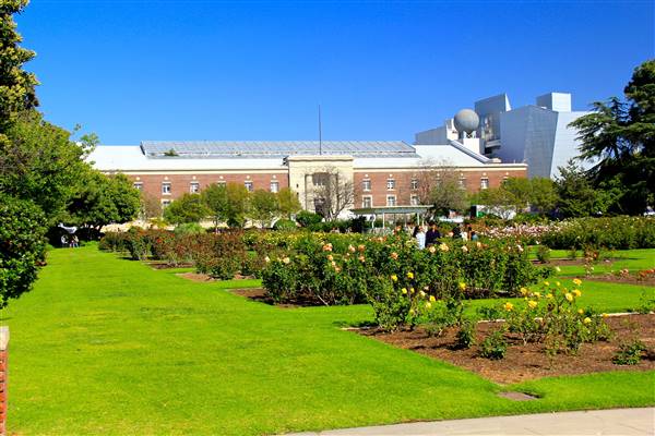 Exposition Park Rose Garden (4/15/2012 - Credits: By MikeJiroch (Own work) [CC BY-SA 3.0 (http://creativecommons.org/licenses/by-sa/3.0)], via Wikimedia Commons)