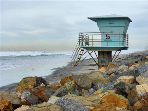 Torrey Pines State Beach (SB) (4/13/2012 - Credits: "Torrey Pines State Beach" by Flickr User: Coastal Jester (CC BY-NC-ND 2.0) [https://creativecommons.org/licenses/by-nc-nd/2.0/legalcode] https://www.flickr.com/photos/jesterinsd/)