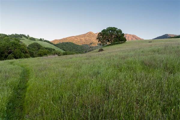Mount Diablo State Park (SP) (4/22/2012 - Credits: "Mt. Diablo State Park" by Flickr User: N8ster (CC BY-NC-ND 2.0) [https://creativecommons.org/licenses/by-nc-nd/2.0/legalcode] https://www.flickr.com/photos/n8/)