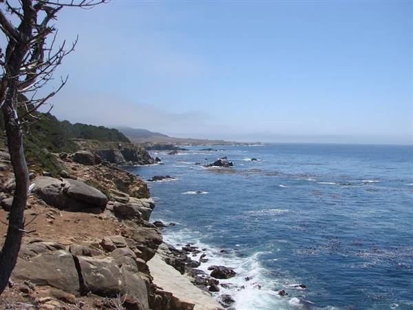 Salt Point State Park (SP) (7/18/2009 - Credits: Salt Point State Park' by Amy Meredith (CC BY-ND 2.0) [https://creativecommons.org/licenses/by-nd/2.0/legalcode] https://www.flickr.com/photos/jjandames/)