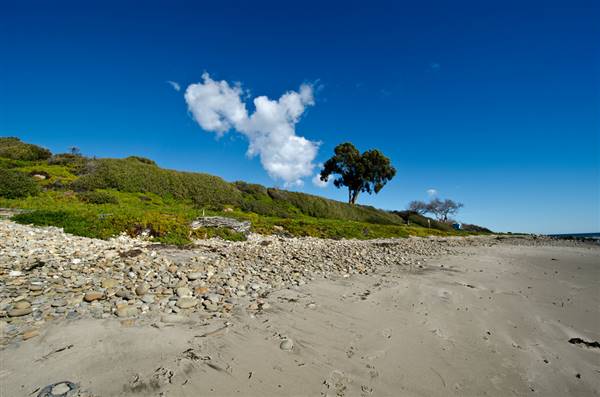 Refugio State Beach (SB) (1/27/2013 - Credits: "Refugio State Beach" Image by flickr User" ars5017 (CC BY 2.0) [https://creativecommons.org/licenses/by/2.0/legalcode]https://www.flickr.com/photos/browniesundae/)