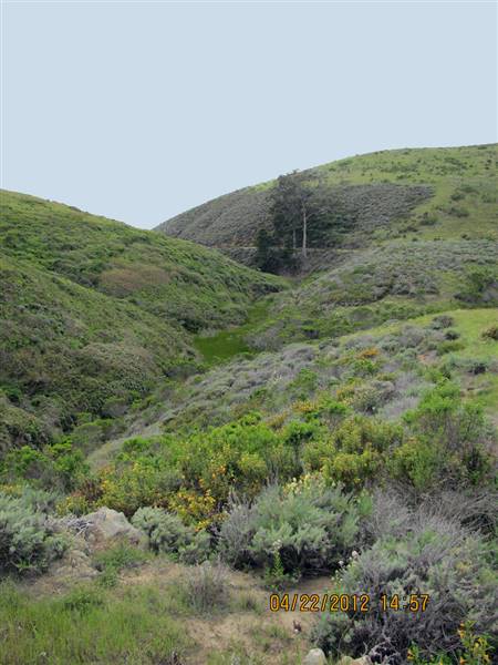 Harmony Headlands State Park (SP) (4/22/2012 - Credits: "Harmony Headlands" By Susand Dunker (CC BY 2.0)[https://creativecommons.org/licenses/by/2.0/legalcode] https://www.flickr.com/photos/mambosuesan/)