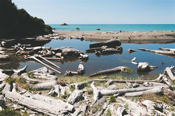 Del Norte Coast Redwoods State Park (SP) within the Redwood National and State Parks (5/1/2014 - Credits: "Lost and Found" By Wendy NG (CC BY-NC-ND 2.0)[https://creativecommons.org/licenses/by-nc-nd/2.0/legalcode] https://www.flickr.com/photos/wenzday01/)