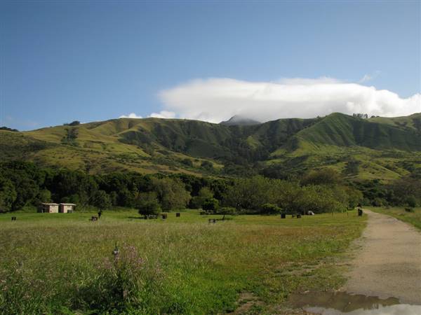 Andrew Molera State Park (SP) (4/5/2010 - Credits: "Andrew Molera State Park (3)" By Flickr User: Kelly the Deluded (CC BY-NC 2.0)[https://creativecommons.org/licenses/by-nc/2.0/legalcode] https://www.flickr.com/photos/delusionary/)