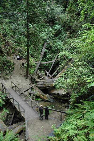 Russian Gulch State Park (SP) / Russian Gulch Bridge - Highway 1 (8/22/2010 - Credits: "DSC_8541" by Bob Schoenherr (CC BY-NC-ND 2.0)[https://creativecommons.org/licenses/by-nc-nd/2.0/legalcode]https://www.flickr.com/photos/sunnaction/)
