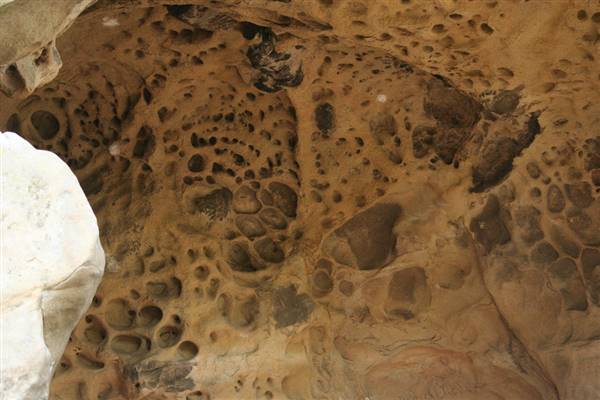 Castle Rock State Park (SP) (6/7/2008 - Credits: "Tidepooling and Castle Rock" by Jason Colman (CC BY-NC 2.0)[https://creativecommons.org/licenses/by-nc/2.0/legalcode]https://www.flickr.com/photos/tafticus/)