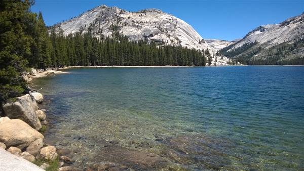 Yosemite National Park (6/18/2014 - Credits: "Taneya Lake, Yosemite National Park" by Flicker User: Su-May (CC BY2.0)[https://creativecommons.org/licenses/by/2.0/legalcode]https://www.flickr.com/photos/su-may/)