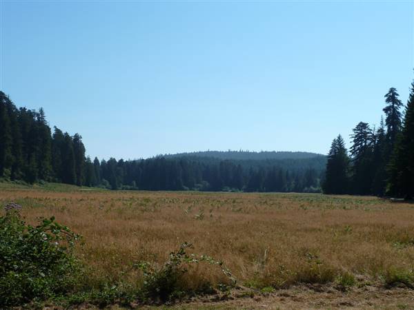 Redwood National & State Parks (8/22/2010 - Credits: Prarie in Redwoods National Park" by Jeff Myers (CC BY-NC 2.0)[https://creativecommons.org/licenses/by-nc/2.0/legalcode]https://www.flickr.com/photos/binarydreams/)