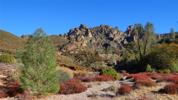 Pinnacles National Park - NPS (11/19/2013 - Credits: "Pinnacles National Park" By Rene Rivers (CC BY-NC-ND 2.0)[https://creativecommons.org/licenses/by-nc-nd/2.0/legalcode]https://www.flickr.com/photos/renedrivers/)