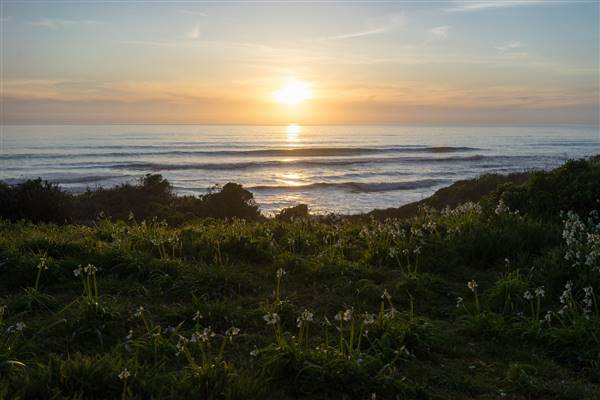 Westport-Union Landing State Beach (SB) (4/2/2016 - Credits: "Westport-Union Landing State Beach" by Troy Smith (CC BY-NC-ND 2.0)[https://creativecommons.org/licenses/by-nc-nd/2.0/legalcode]https://www.flickr.com/photos/high_trails/)
