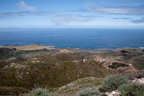 Montana de Oro State Park (SP) (6/13/2009 - Credits: "Mike" Michael L. Baird [CC BY 2.0 (http://creativecommons.org/licenses/by/2.0)], via Wikimedia Commons)
