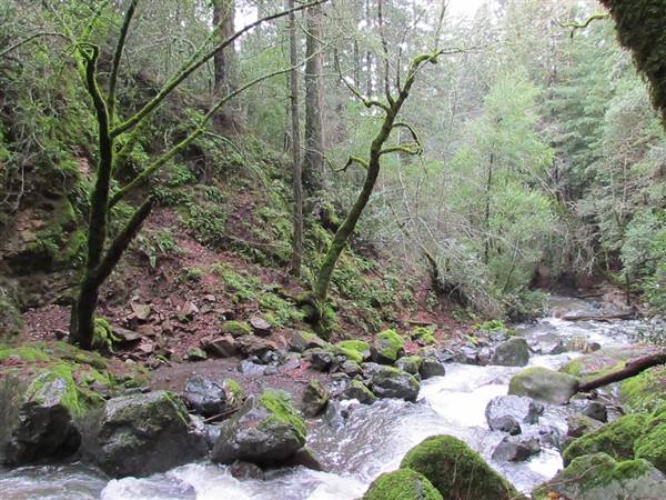Sugarloaf Ridge State Park (SP) (12/27/2010 - Credits: "Winter in Sugarloaf Ridge State Park" by David Berry (CC BY 2.0)[https://creativecommons.org/licenses/by/2.0/legalcode]https://www.flickr.com/photos/dberry/)