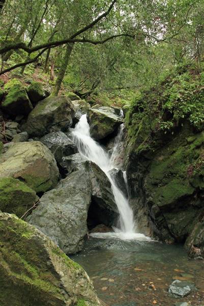 Sugarloaf Ridge State Park (SP) (1/11/2011 - Credits: "Sonoma Creek Waterfall" by Sandy Richard (CC BY-NC 2.0)[https://creativecommons.org/licenses/by-nc/2.0/legalcode]https://www.flickr.com/photos/9428166@N03/)