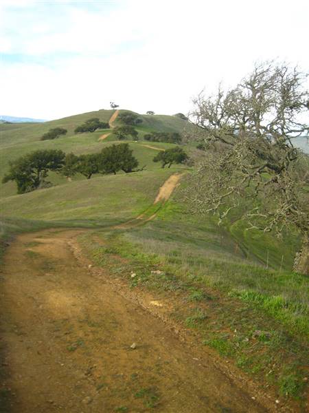 Pacheco State Park (SP) and Windmill Farm / Wind Energy (1/10/2010 - Credits: "Spikes Peak Road" by Joe Navratil (CC BY-NC-ND 2.0)[https://creativecommons.org/licenses/by-nc-nd/2.0/legalcode]https://www.flickr.com/photos/navratil/)