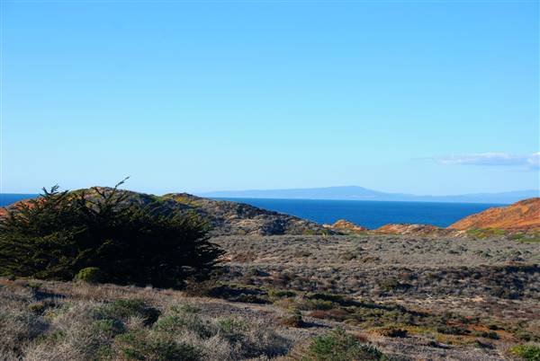 Fort Ord Dunes State Park (SP) (2/1/2014 - Credits: "DSC_2348" by Flickr User: a7pointstar (CC BY 2.0)[https://creativecommons.org/licenses/by/2.0/legalcode]https://www.flickr.com/photos/jdm2179/)