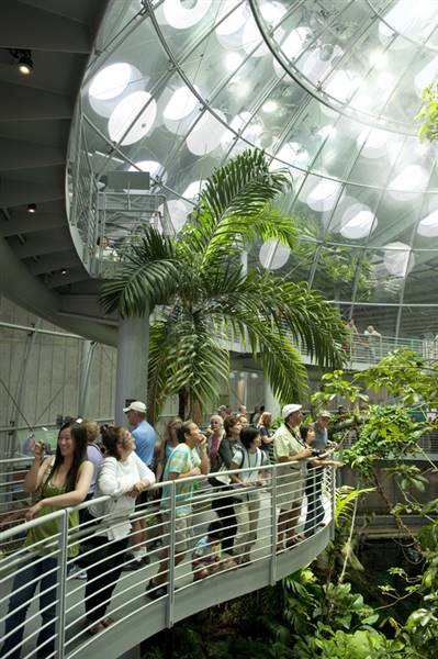 California Academy of Sciences (6/28/2014 - Credits: Photograph Courtesy of Visit California)