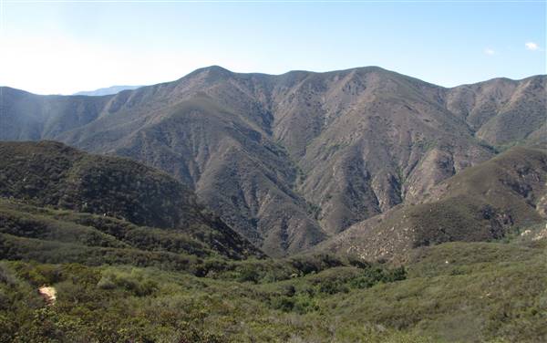 Cleveland National Forest (7/16/2015 - Credits: "SJT MountainView" by Flickr User: Mechanoid Dolly (CC BY-SA 2.0)[https://creativecommons.org/licenses/by-sa/2.0/legalcode]https://www.flickr.com/photos/mechanoid_dolly/)