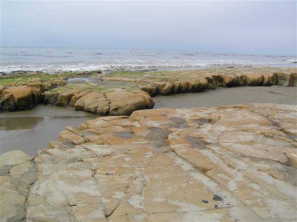 El Capitan State Beach (SB) (7/13/2009 - Credits: "P7130508.JPG" by Jason Holmberg (CC BY-NC 2.0)[https://creativecommons.org/licenses/by-nc/2.0/legalcode] https://www.flickr.com/photos/jasonholmberg/)