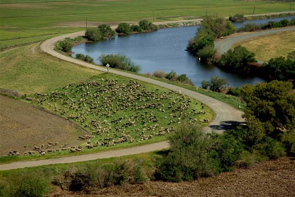Sacramento-San Joaquin Delta (10/5/2016 - Credits: Photo courtesy of California Department of Water Resources)