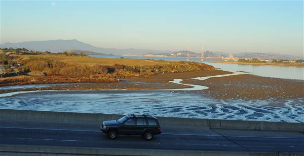 Albany State Marine Reserve - State Lands Commission (SLC) (1/11/2012 - Credits: "Albany Mudflats" by Chris Hunkeler (CC BY-SA 2.0)[https://creativecommons.org/licenses/by-sa/2.0/legalcode] https://www.flickr.com/photos/chrishunkeler/)