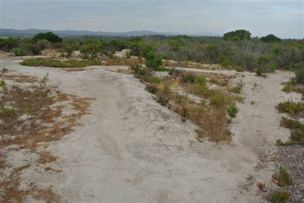 Burton Mesa Ecological Reserve - California Department of Fish & Wildlife (CDFW) (7/14/2014 - Credits: "Burton Mesa 075" by Janice Mackey for CDFW (CC BY 2.0)[https://creativecommons.org/licenses/by/2.0/legalcode] https://www.flickr.com/photos/californiadfg/)