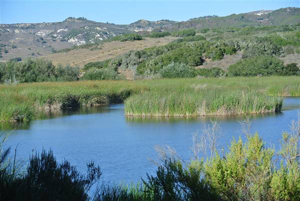 Burton Mesa Ecological Reserve - California Department of Fish & Wildlife (CDFW) (7/14/2014 - Credits: "Burton Mesa 015" by Janice Mackey for CDFW (CC BY 2.0)[https://creativecommons.org/licenses/by/2.0/legalcode] https://www.flickr.com/photos/californiadfg/)