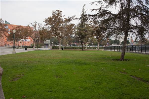 Christmas Tree Lane East and West at Exposition Park (10/13/2016 - Credits: Photo by Gillian Bissonnette (C) CFC)