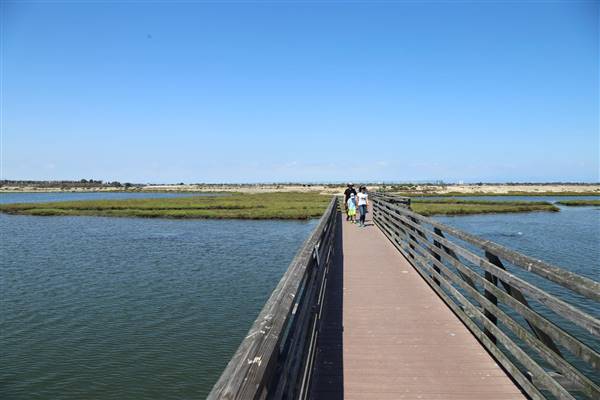 Bolsa Chica Ecological Reserve - California Department of Fish & Wildlife (CDFW) (10/18/2016 - Credits: Photo courtesy of Kris Bunting)