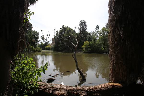Los Angeles County Arboretum (11/3/2016 - Credits: Photo courtesy of Kris Bunting)