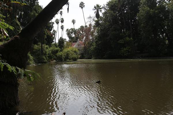 Los Angeles County Arboretum (11/3/2016 - Credits: Photo courtesy of Kris Bunting)