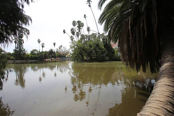 Los Angeles County Arboretum (11/3/2016 - Credits: Photo courtesy of Kris Bunting)