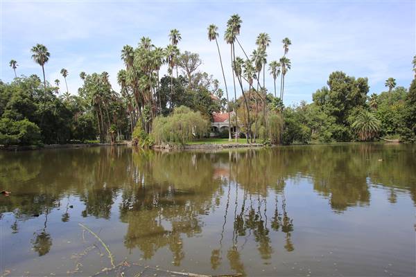Los Angeles County Arboretum (11/3/2016 - Credits: Photo courtesy of Kris Bunting)