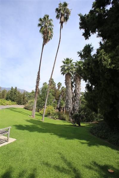 Los Angeles County Arboretum (11/3/2016 - Credits: Photo courtesy of Kris Bunting)
