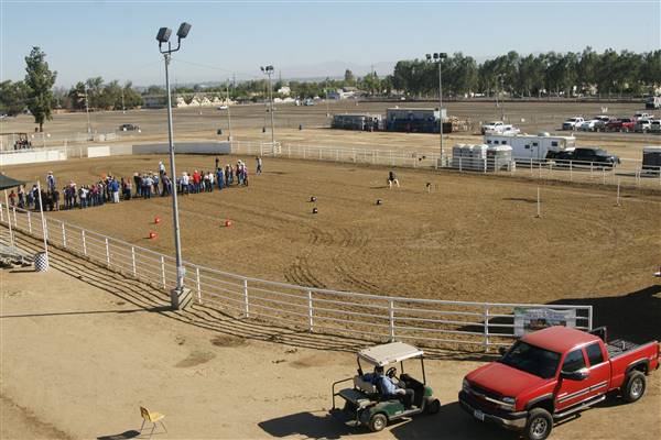 Kern County Fair - 15th DAA (11/8/2016 - Credits: Jimmy Rogers Arena - Photo courtesy of Kern County Fair)