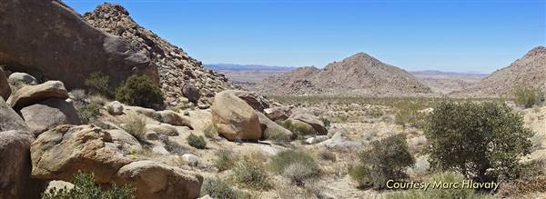 Desert View Conservation Area (4/28/2014 - Credits: Marc Hlavaty)