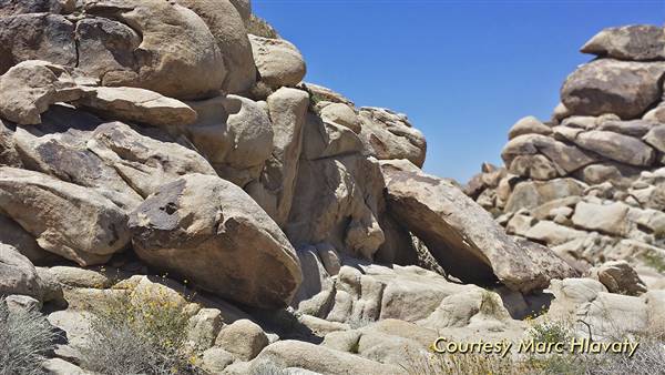 Desert View Conservation Area (4/28/2014 - Credits: Marc Hlavaty)