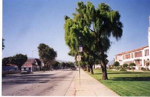 Salinas (6/28/2017)