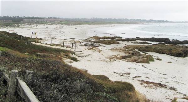 Asilomar State Beach and Conference Grounds (6/28/2017)